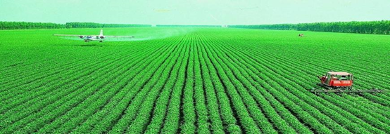 �Zʳ�Nֲ�½���(sh��)�(y��n)�ҙz�y�(xi��ng)Ŀ���x������