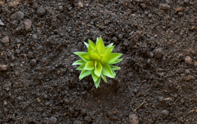 ����ˮ�ݜy���x